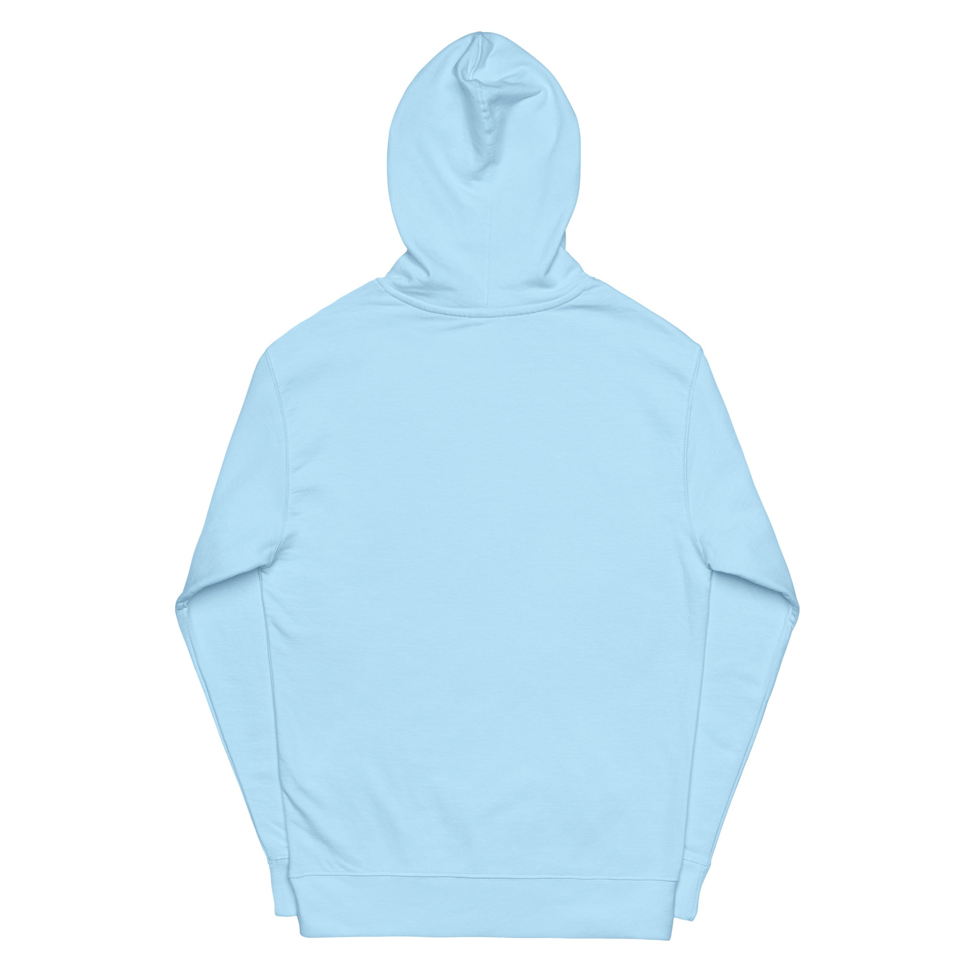 Shambles midweight hoodie - PevyBrand