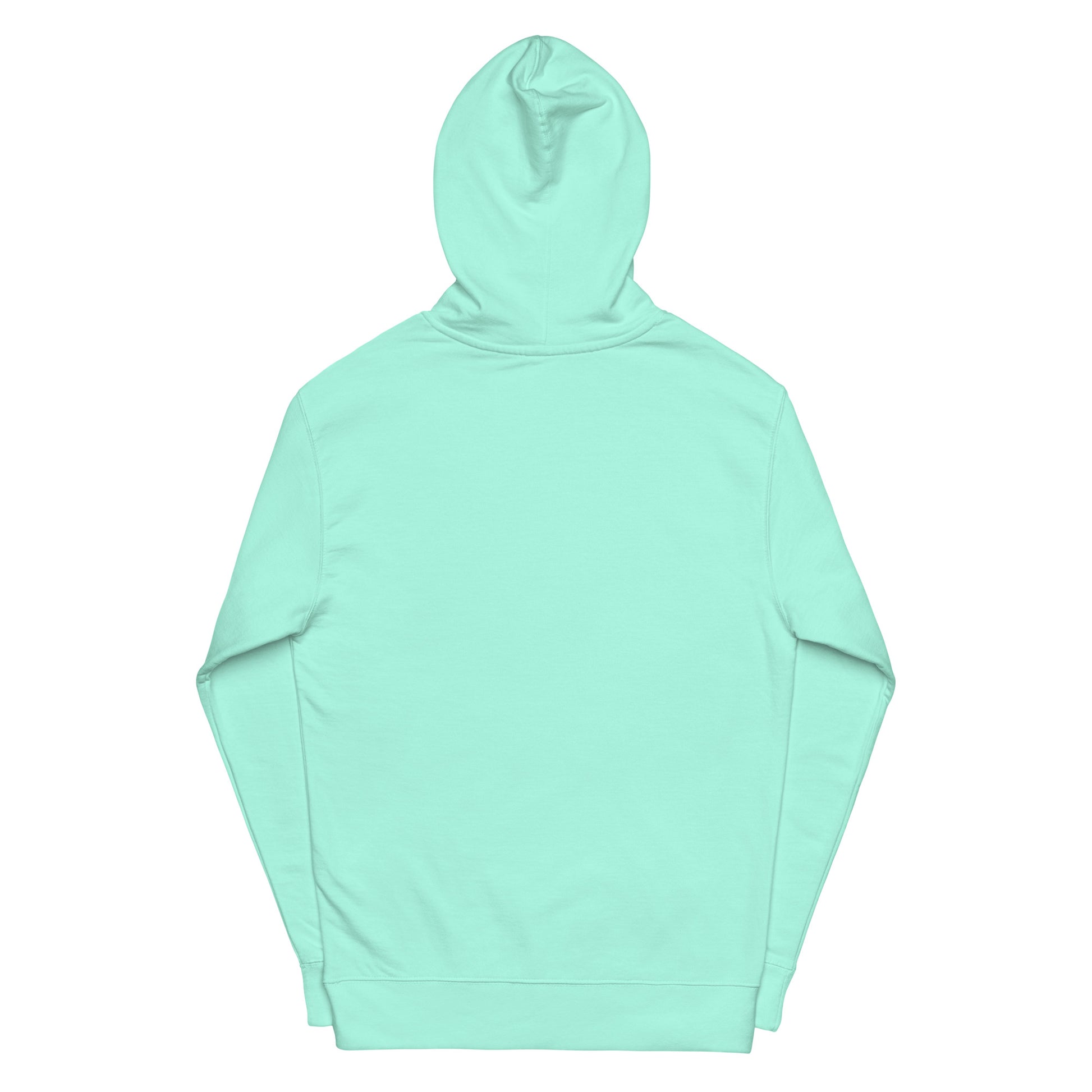 Shambles midweight hoodie - PevyBrand